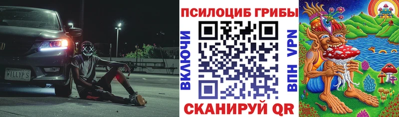 кракен зеркало  Кстово  Галлюциногенные грибы прущие грибы 