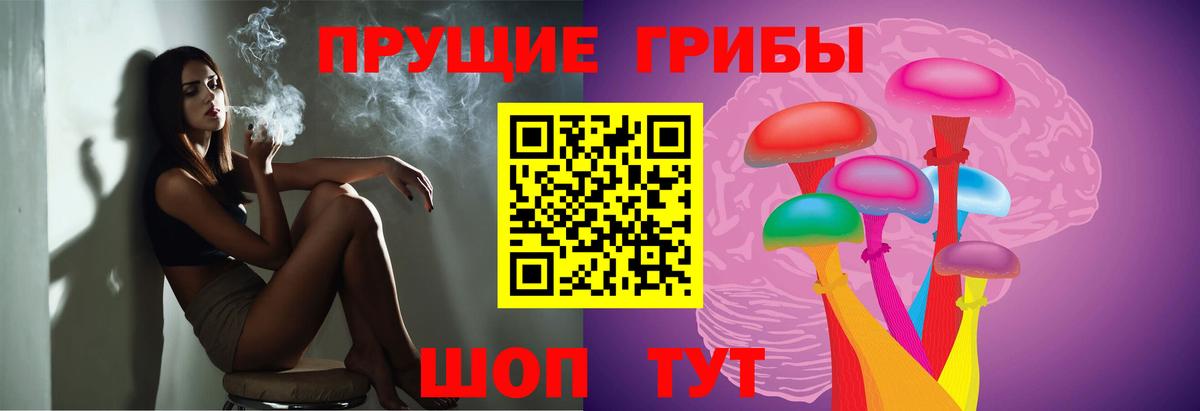 купить наркотики сайты  Вход с VPN  Кстово  Псилоцибиновые грибы GOLDEN TEACHER 
