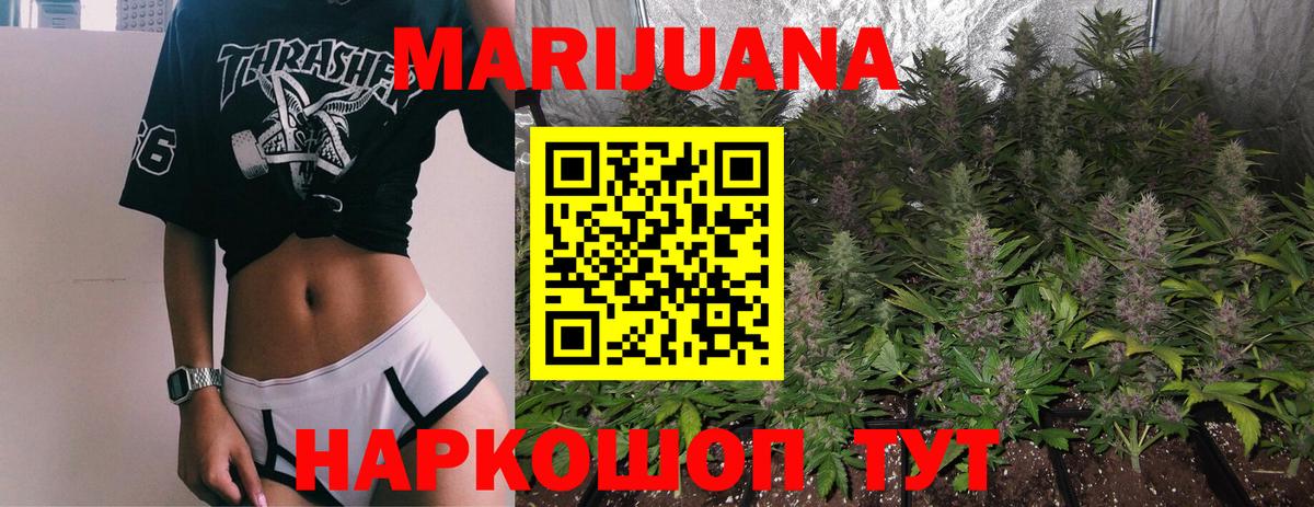 Канабис сатива Кстово